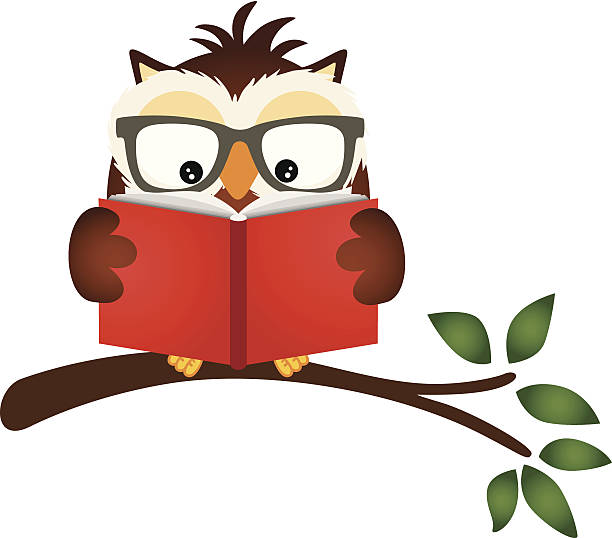  Summer Reading Tips